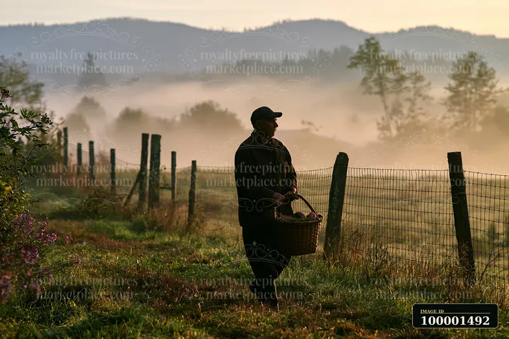 A person walks along a path carrying a basket in a meadow as fog drifts across the ground around them.