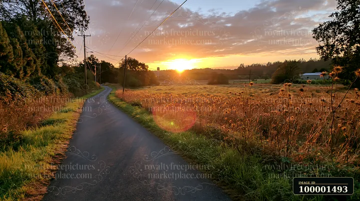 A rural road leads through a meadow beside a scenic landscape at sunrise.