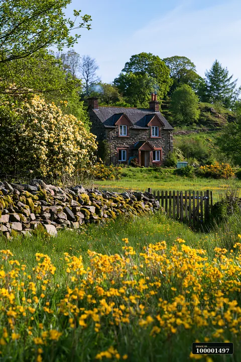 A rural cottage with chimney smoke stands near a stone wall, surrounded by yellow flowers and lush greenery.