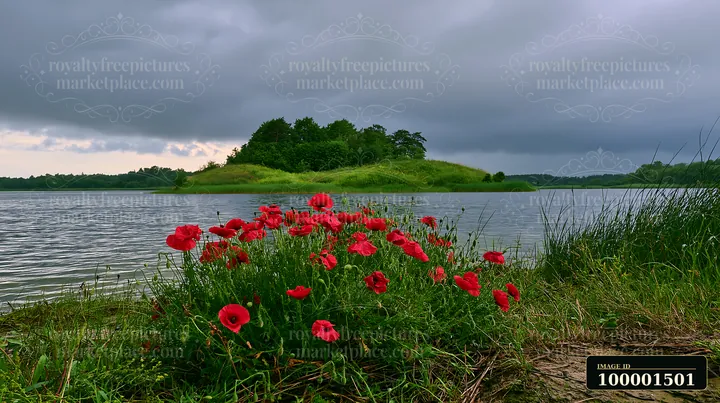 A small island is surrounded by water and features a cluster of red flowers along the shore.