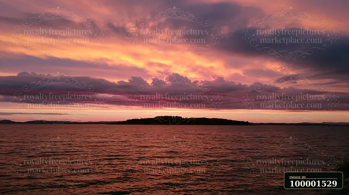 A vibrant sunset paints the sky in shades of orange and pink above an island with flowers at sunset.