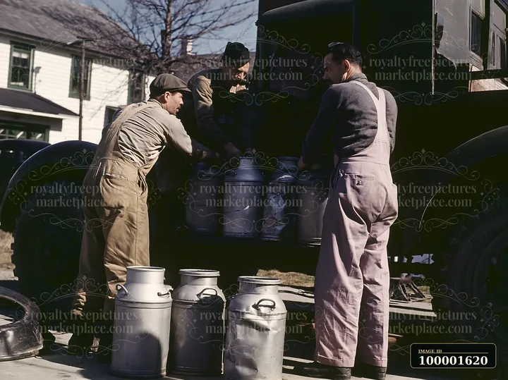 Workers are unloading milk cans from a dairy cooperative truck in a rural setting.