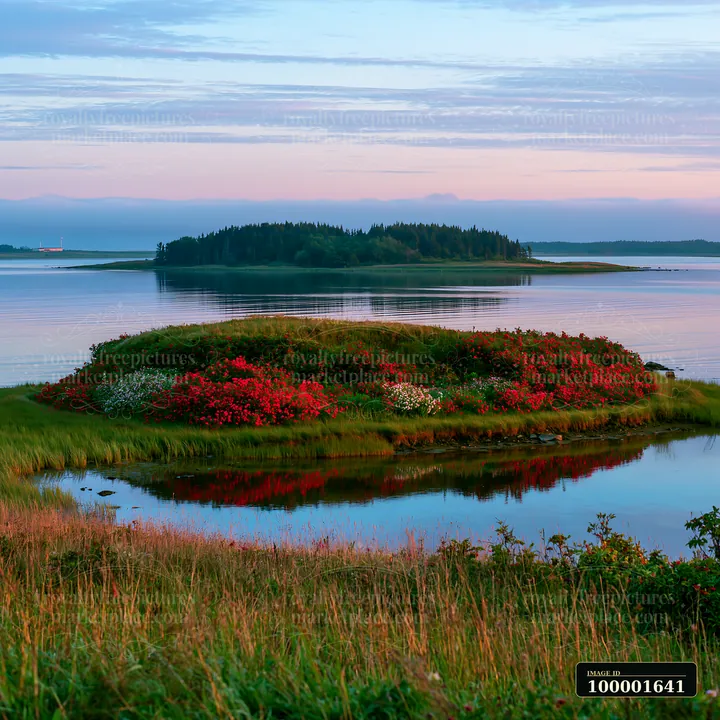 A small island is covered with colorful flowers, reflecting in the still water of a calm bay.