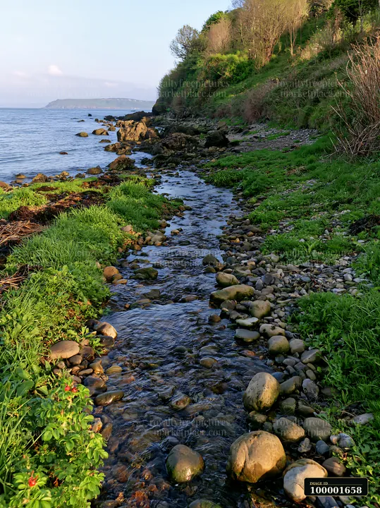 The scene shows a coastline with exposed rocks and a clear stream flowing through pebbles and grass.