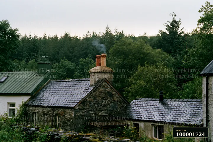 A rural cottage shows smoke rising from its chimney after rain, surrounded by trees and lush greenery.