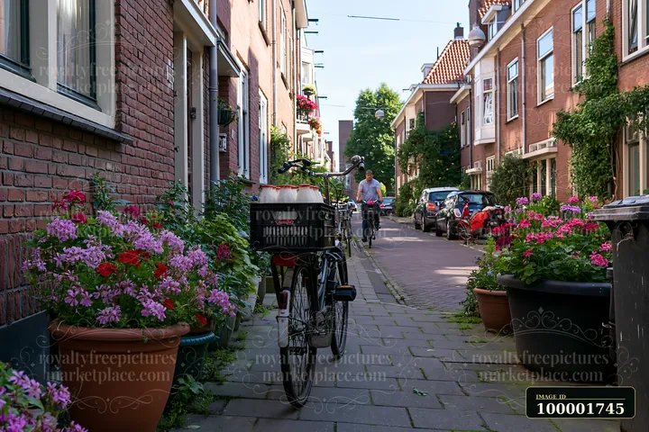 A milk delivery bicycle passing through a narrow street lined with colorful flowers and houses.