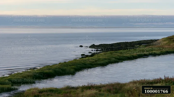 A coastline with oyster beds emerges as the tide recedes, revealing rocky areas and greenery along the shore.