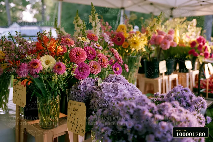 Mixed seasonal flowers at farmers market are arranged in colorful bunches.