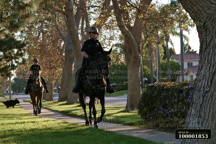 Two police officers on horseback patrol a tree-lined street.