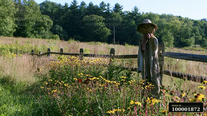 A rustic scarecrow stands in a meadow with wildflowers near a wooden fence.