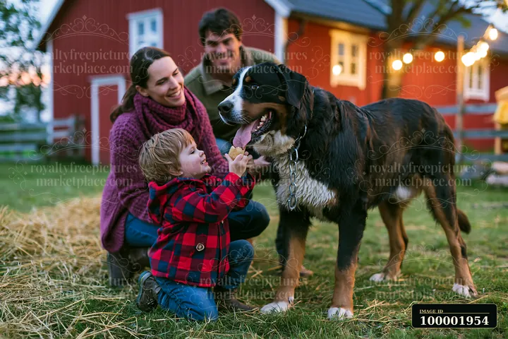 A family interacts with a rare dog breed on a farm during sunset.