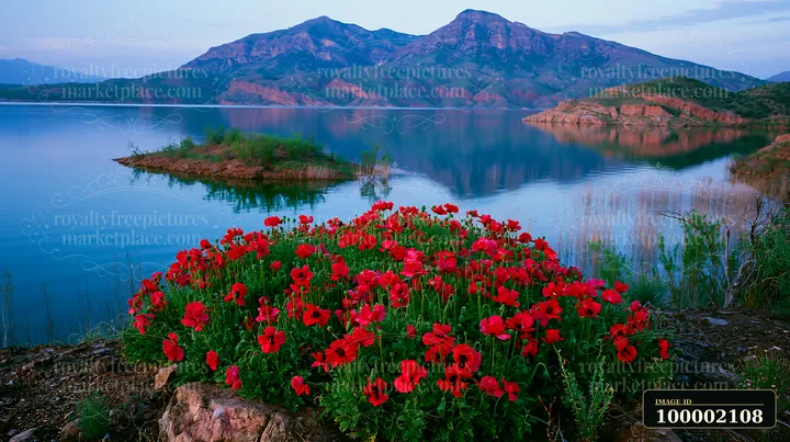 Red flowers grow near the water's edge on an island with flowers and mountain backdrop.
