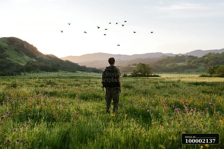 A person stands in a meadow with birds flying overhead against a backdrop of mountains.