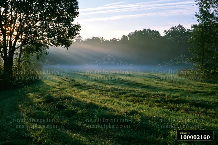 Sunbeams over a misty meadow create a soft glow as morning light filters through trees, illuminating the grass and casting shadows across the field.