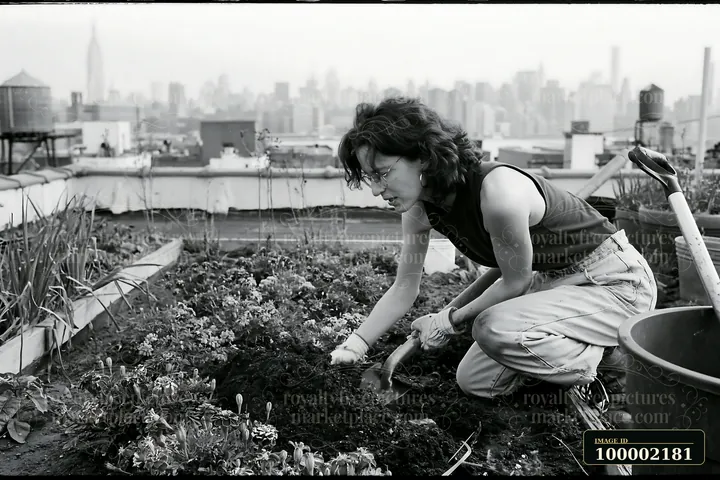 A gardener works in a marigold flower bed on a city rooftop, with the skyline visible in the background.
