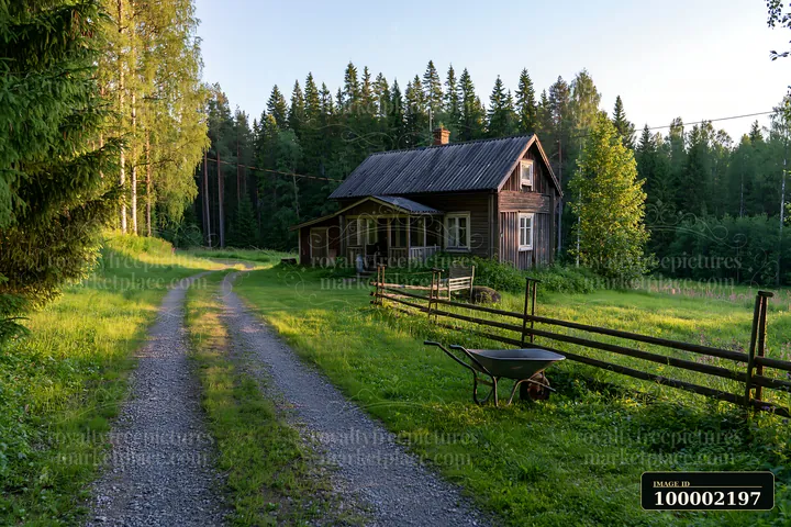 A cottage stands near the edge of a forest with a gravel path leading to it.