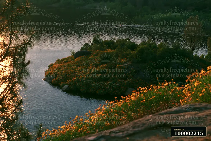 A vibrant island covered with flowers sits in the water as the sun sets in the background, creating a beautiful glow on the landscape.
