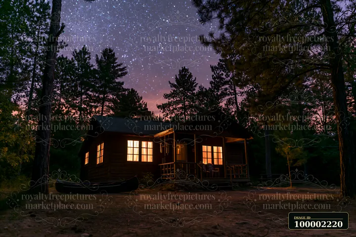 A wooden holiday home under a starry sky sits among trees.