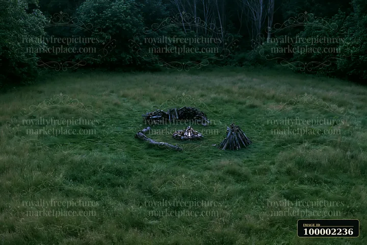 Aerial view shows a meadow viewed from above with logs stacked in a circle at the center.