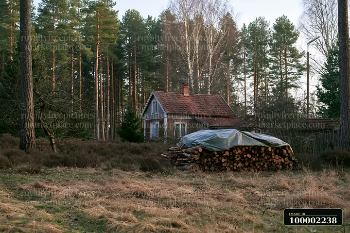 A rural cottage with firewood stack is located among trees and dry grass.