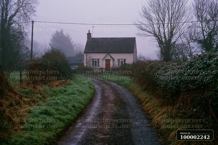 A cottage sits at the end of a winding road in a misty countryside, surrounded by trees and hedges.