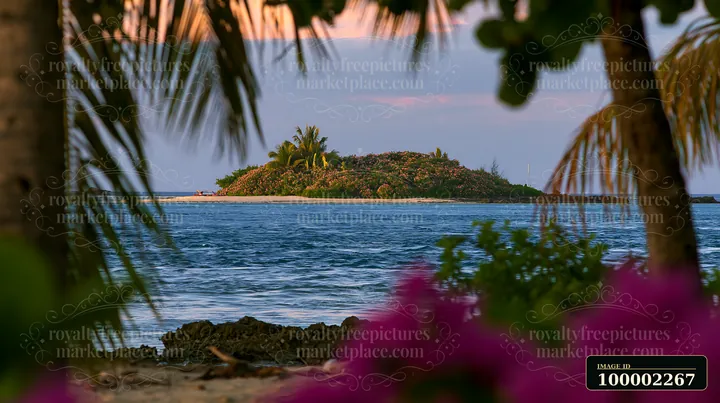 An island with flowers in a tropical lagoon is visible amid calm waters.