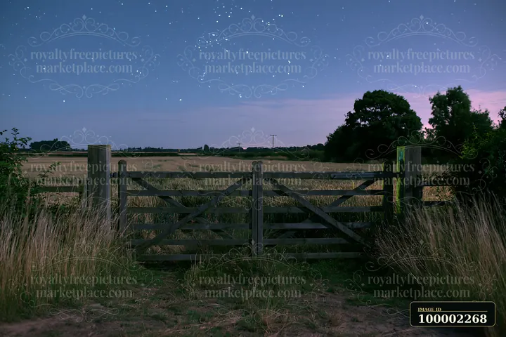 Stars illuminate the night sky above a wheat field, with a wooden gate leading into the landscape.