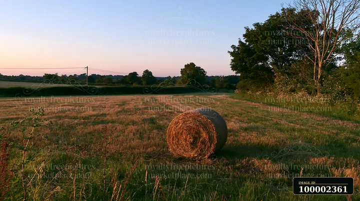 A round hay bale sits in a meadow surrounded by hedgerows under a colorful sunset.