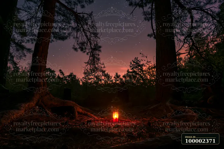 A candle beside a soldier's grave under stars shines in a dark forest setting.