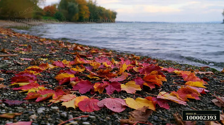 Colorful autumn leaves arranged in spiral on a rocky lakeshore, showcasing shades of red, orange, and yellow.