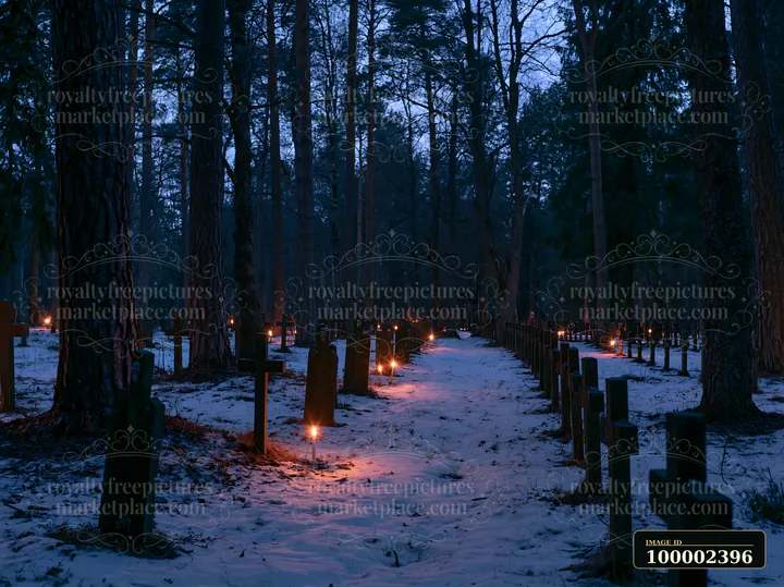 Candles light the path between military graves beside a forest at night.