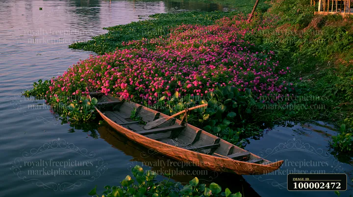 A wooden boat floats near a shore covered with vibrant flowers, reflecting golden light from the setting sun.