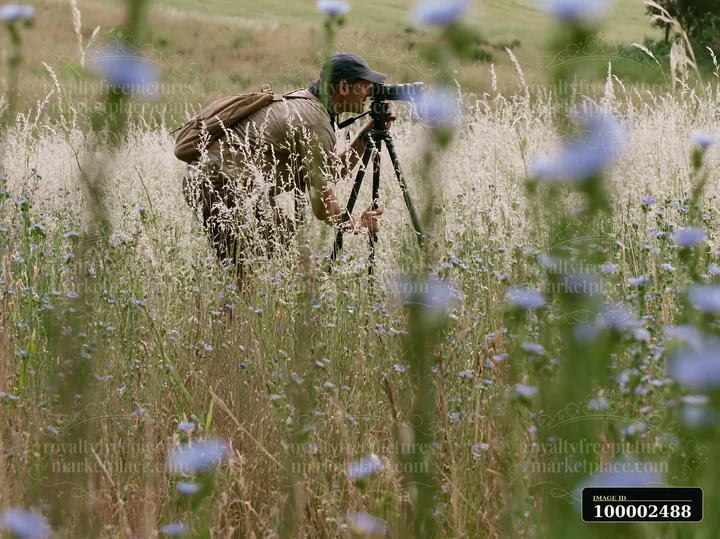 A nature photographer is using a camera on a tripod in a vibrant wildflower meadow during daylight.