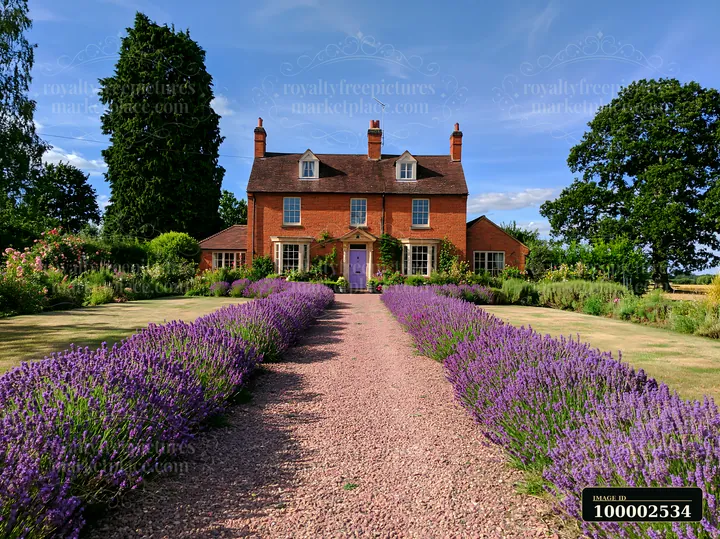 This country house with gravel driveway features a landscaped garden filled with lavender.