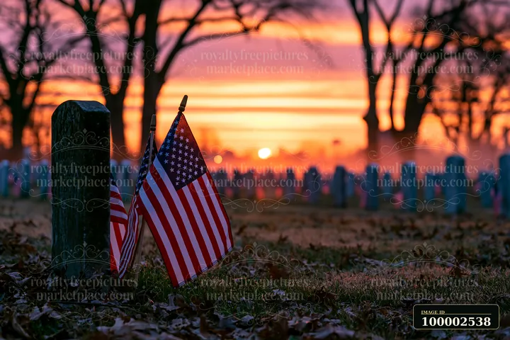 The scene shows a military cemetery with flags at gravestones as the sun rises after a starry night.