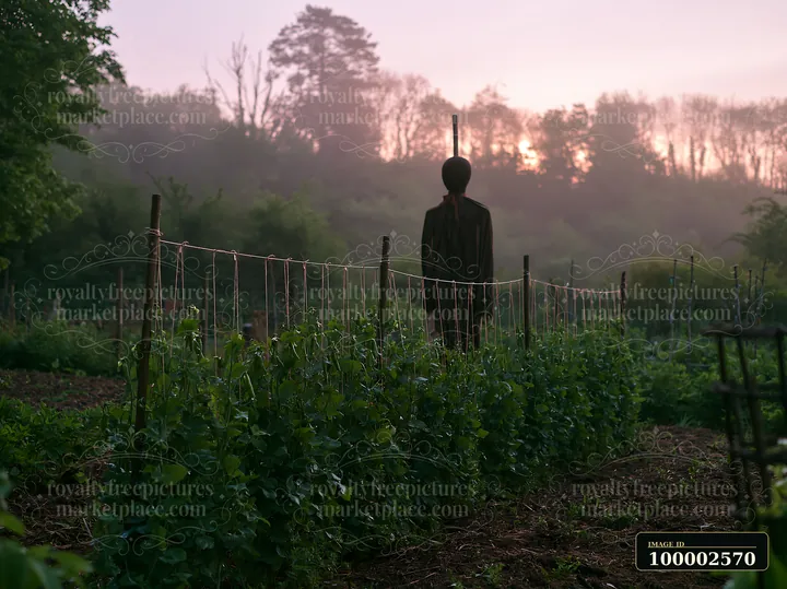 A scarecrow in a spring garden watches over rows of plants as morning light begins to rise in the background, surrounded by trees and mist.