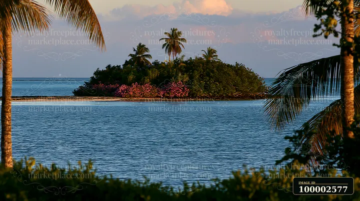 A small island with flowers is visible in a tropical lagoon.