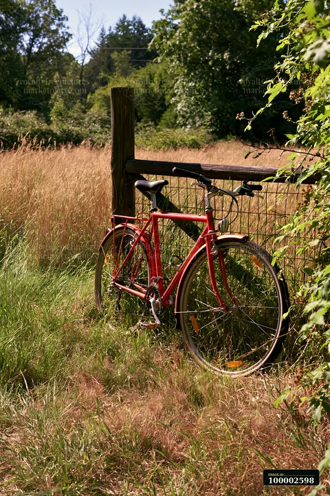 A red bicycle is leaning against a wooden fence in a grassy meadow.