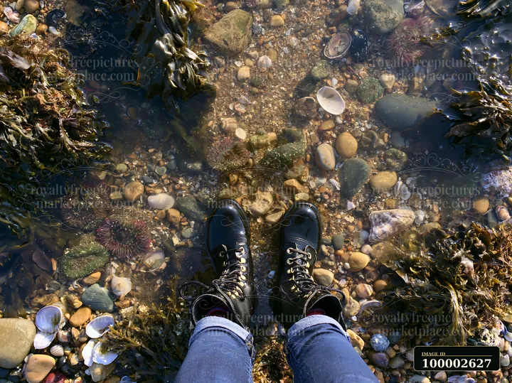 Water shoes rest on a pebbly coastline beach, surrounded by seaweed, shells, and smooth stones.