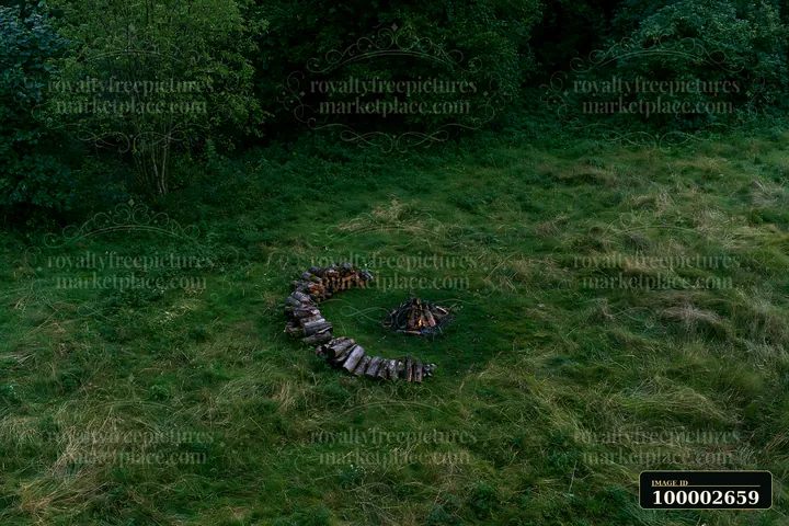 Green meadow viewed from above shows a campfire in the center surrounded by logs.