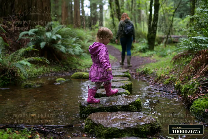 A child in a pink raincoat steps on stones in a small creek in an ancient forest while an adult walks along the path nearby.