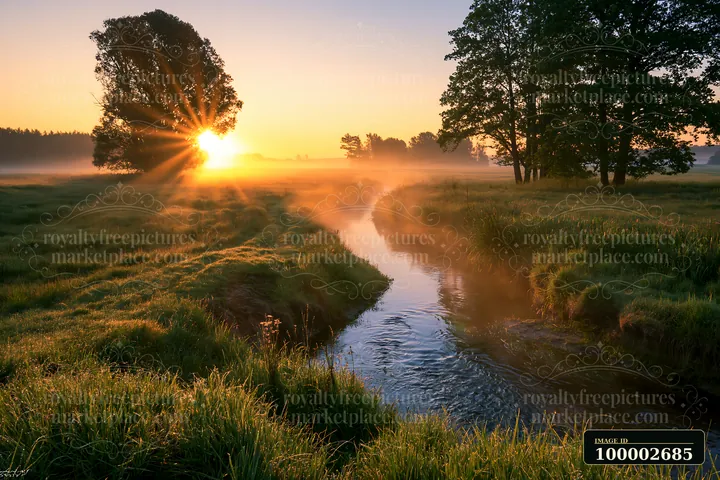 Sunbeams over a misty meadow create a warm glow as they rise above a calm stream surrounded by trees.