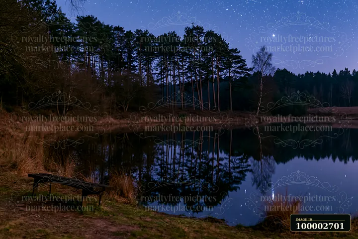 Stars fill the night sky above a pine forest while their reflection shimmers in the calm water.