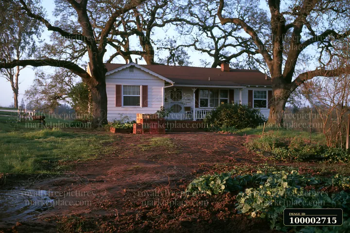 A white rural home under oak trees features a garden area in front.