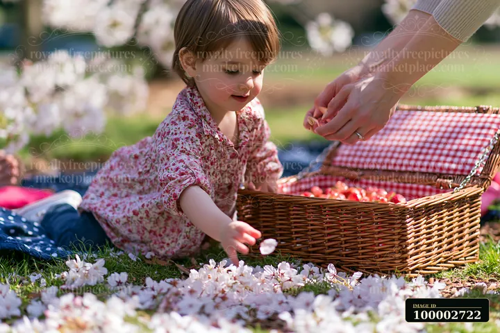 A young child plays with petals during a picnic as an adult prepares food in a park.