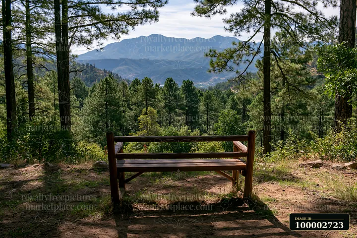 A wooden bench sits at the edge of a pine forest overlooking a mountain range.