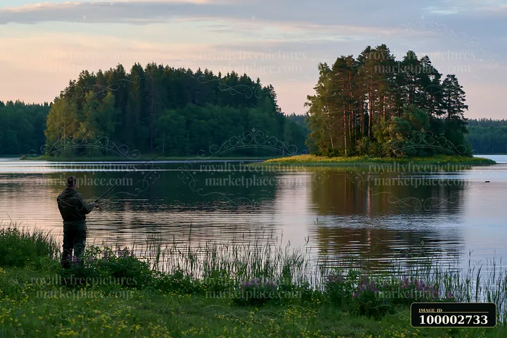 A person stands by the water, fishing while an island covered with buttercups and trees is visible in the background.