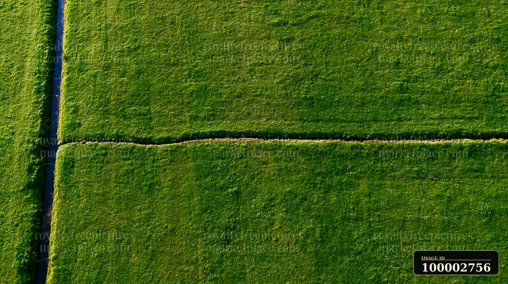Aerial view captures a vast green meadow with a narrow dirt pathway cutting through.