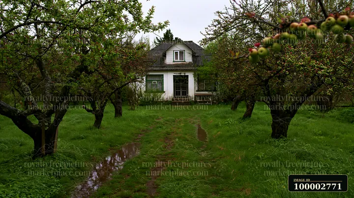 Fruit trees surround a country house with a pathway leading to the entrance.