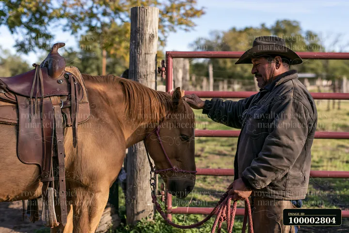 A man saddling a horse stands near a corral.